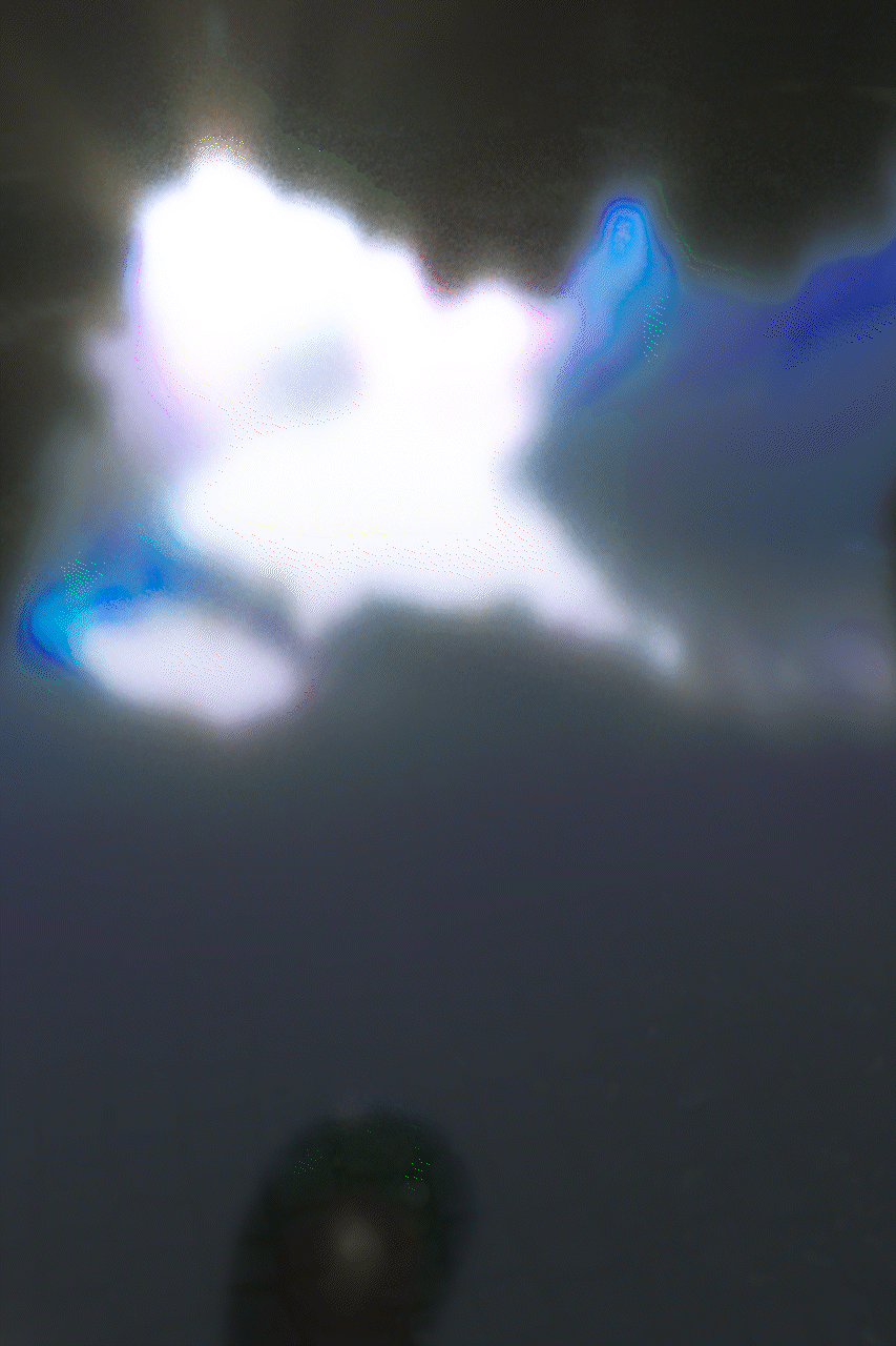 3DCGによる胃の表現方法の実験　GIFアニメーション