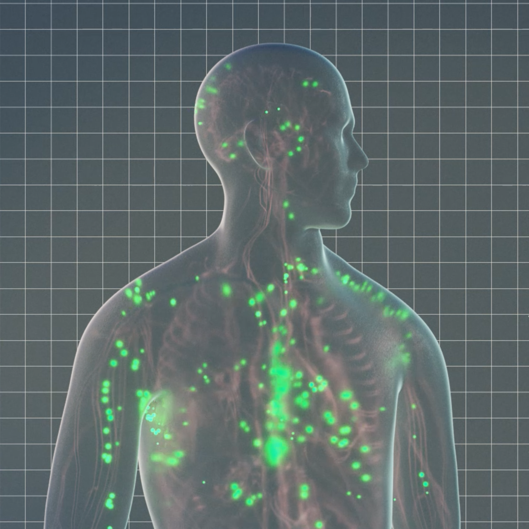 体内に薬剤が巡るイメージ