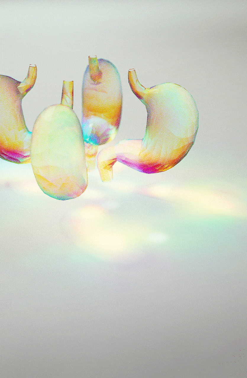 HPやSNS使用を想定した、胃を題材とした３DCG表現の実験