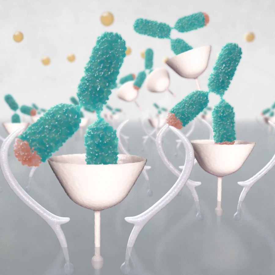 薬の成分がIL-6を阻害する様子