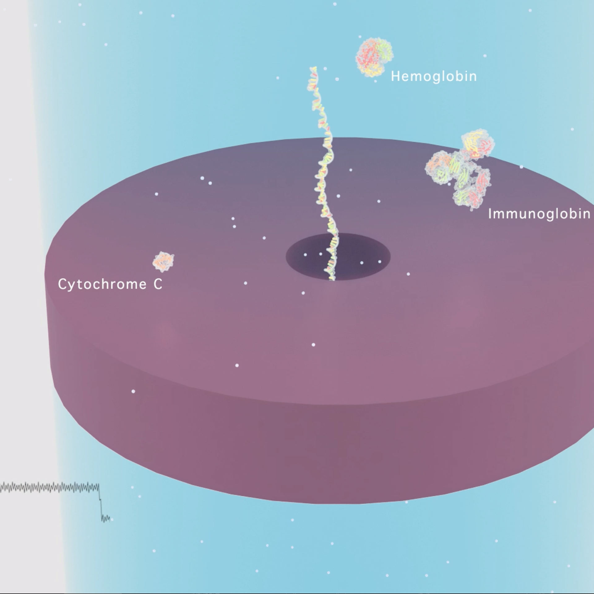 プロテイン測定技術の内容を３DCGを使用してわかりやすく説明