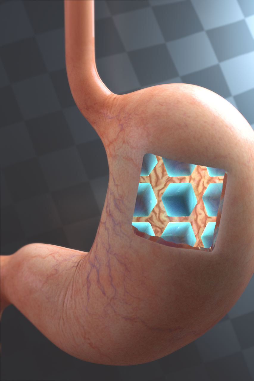 専門誌表紙ビジュアルやキービジュアルを想定した、胃の３DCGイメージ図