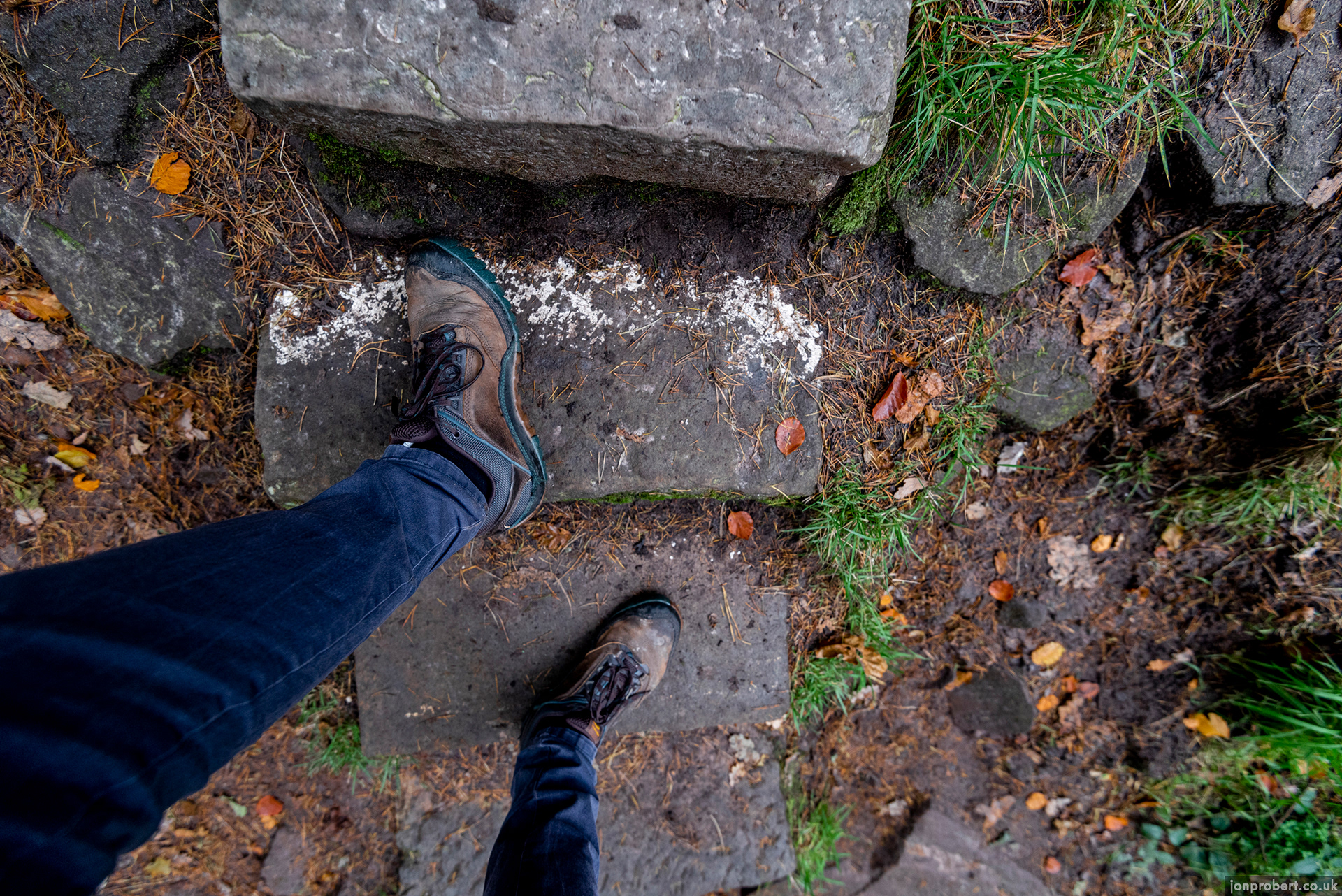 On the way up to Lud's Church