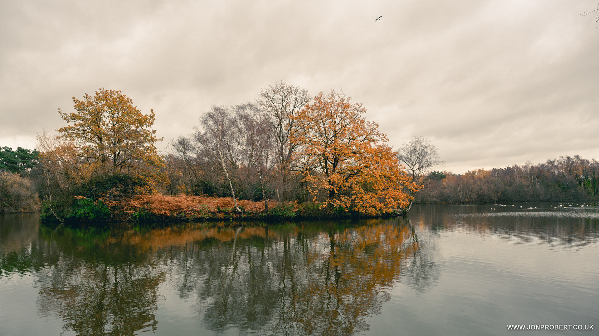 Shakerley Mere, Goostrey