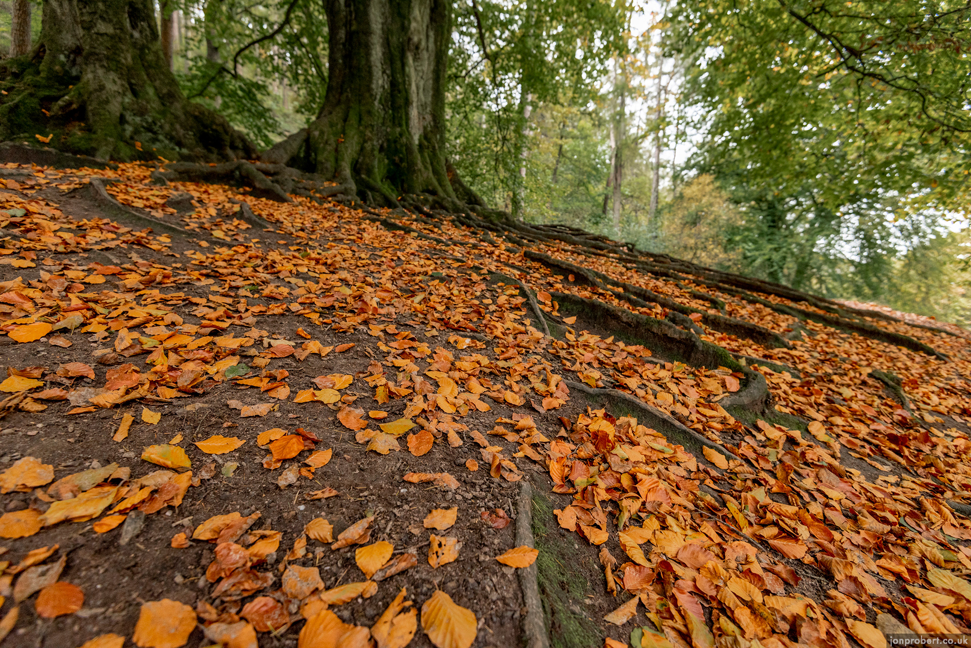 It seems to be autumn