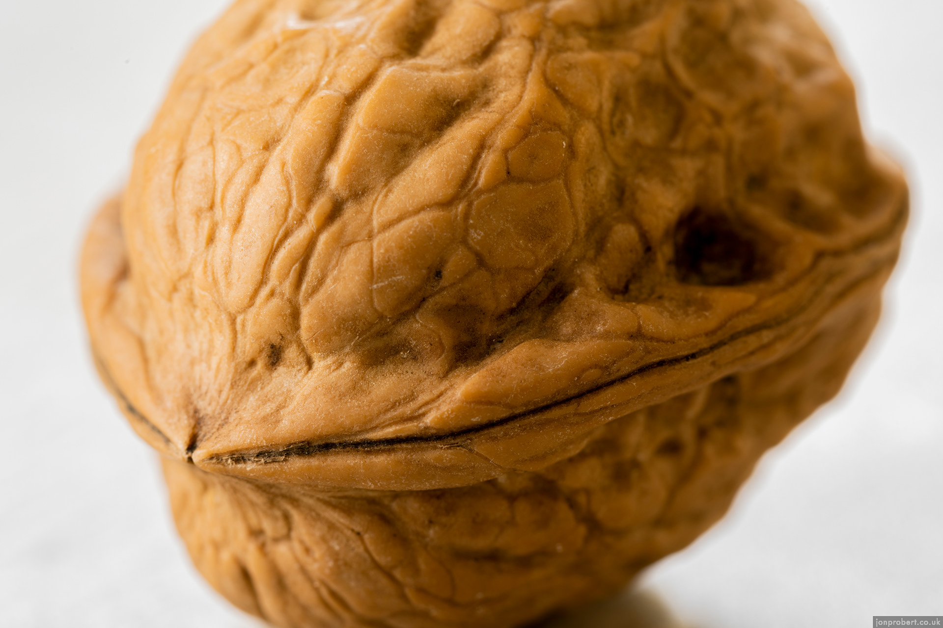 Leftover Christmas walnut. Kind of looks like a brain this close up.