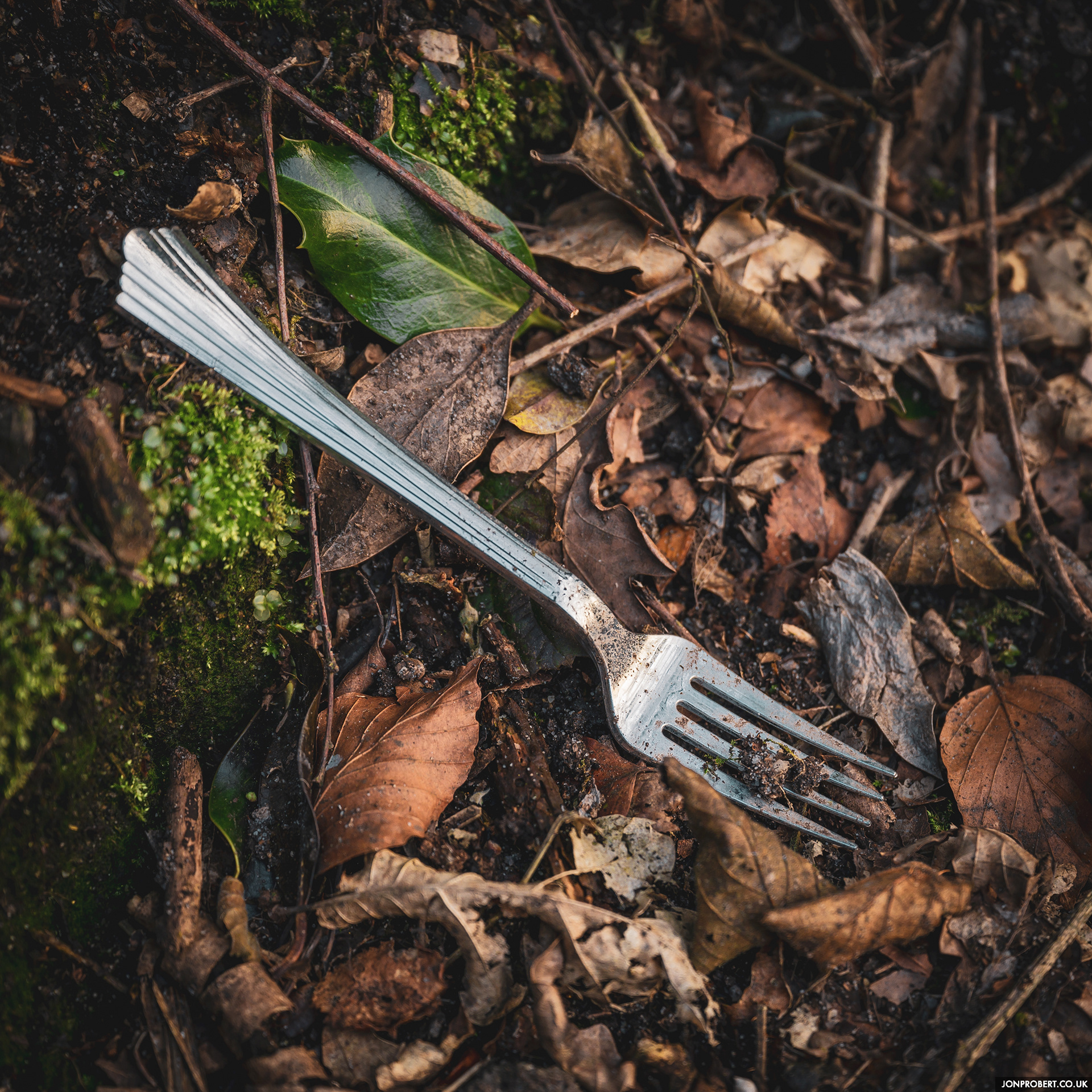 Please don't leave stuff in the forest