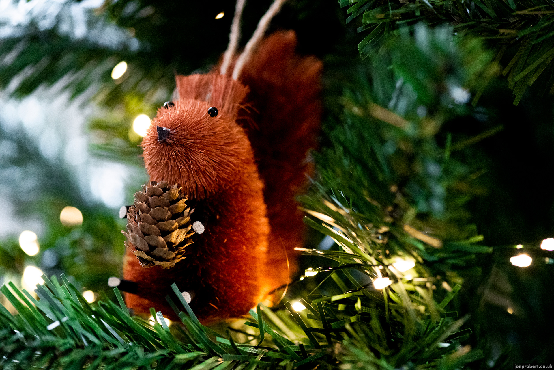 Look at my pinecone!