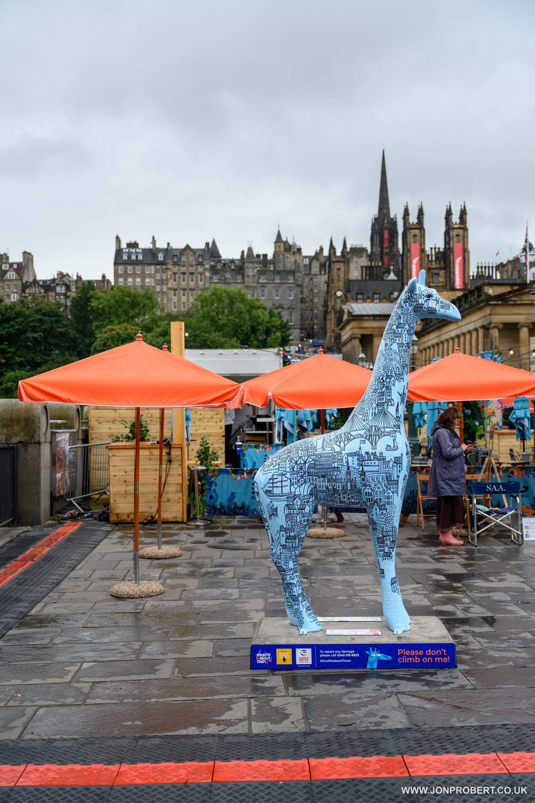 Giraffe about Town