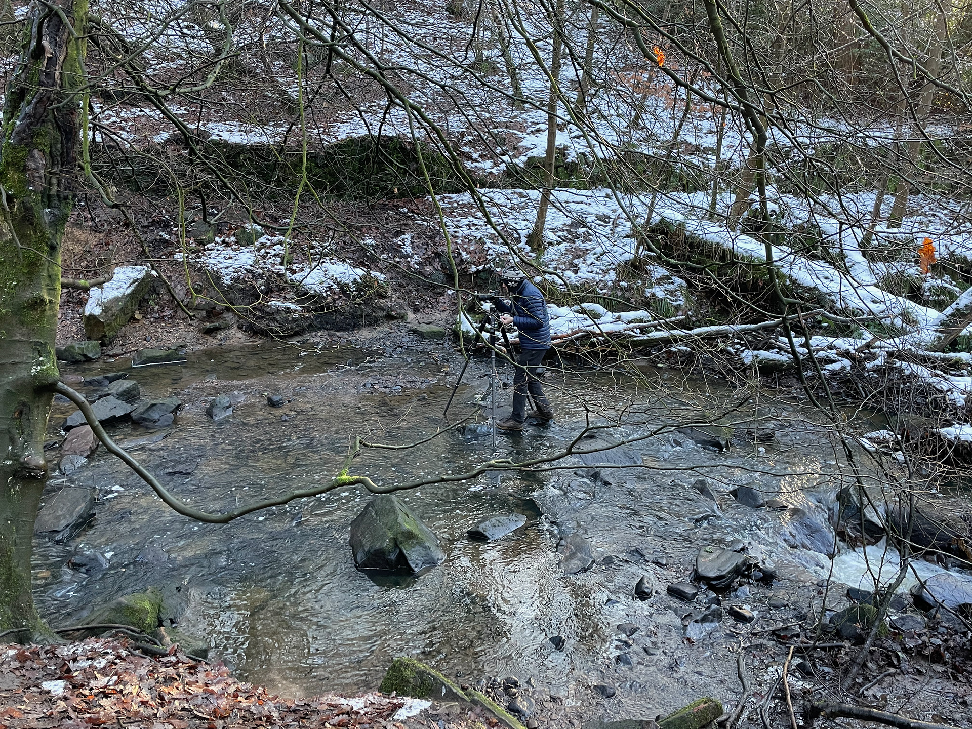 Who's that idiot standing in the stream?