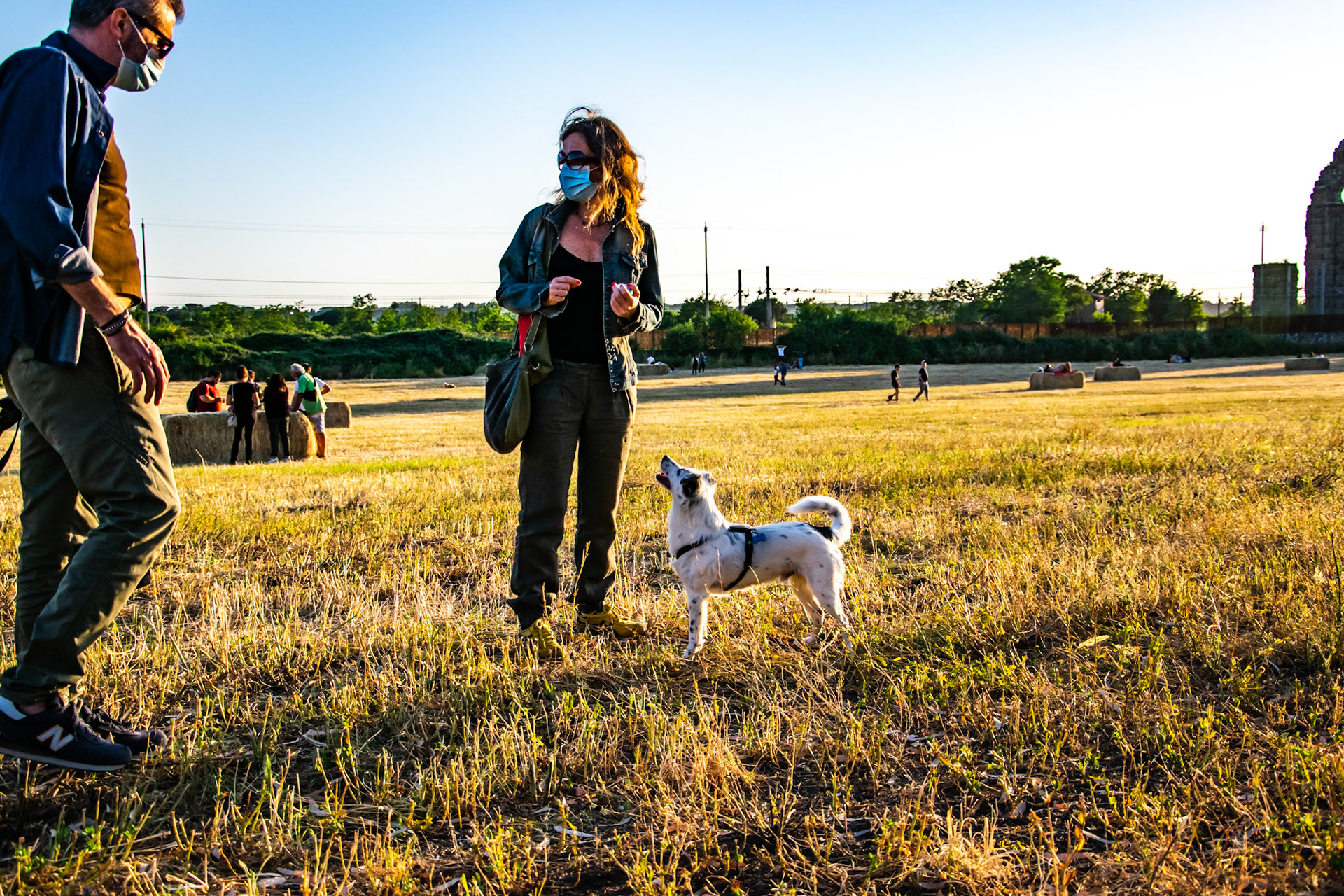 Giochi col cane III