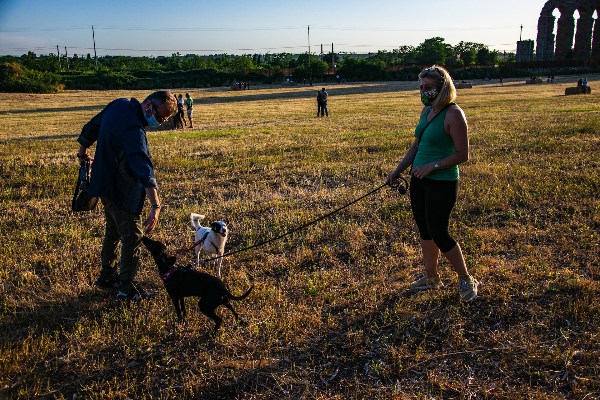 Giochi col cane I
