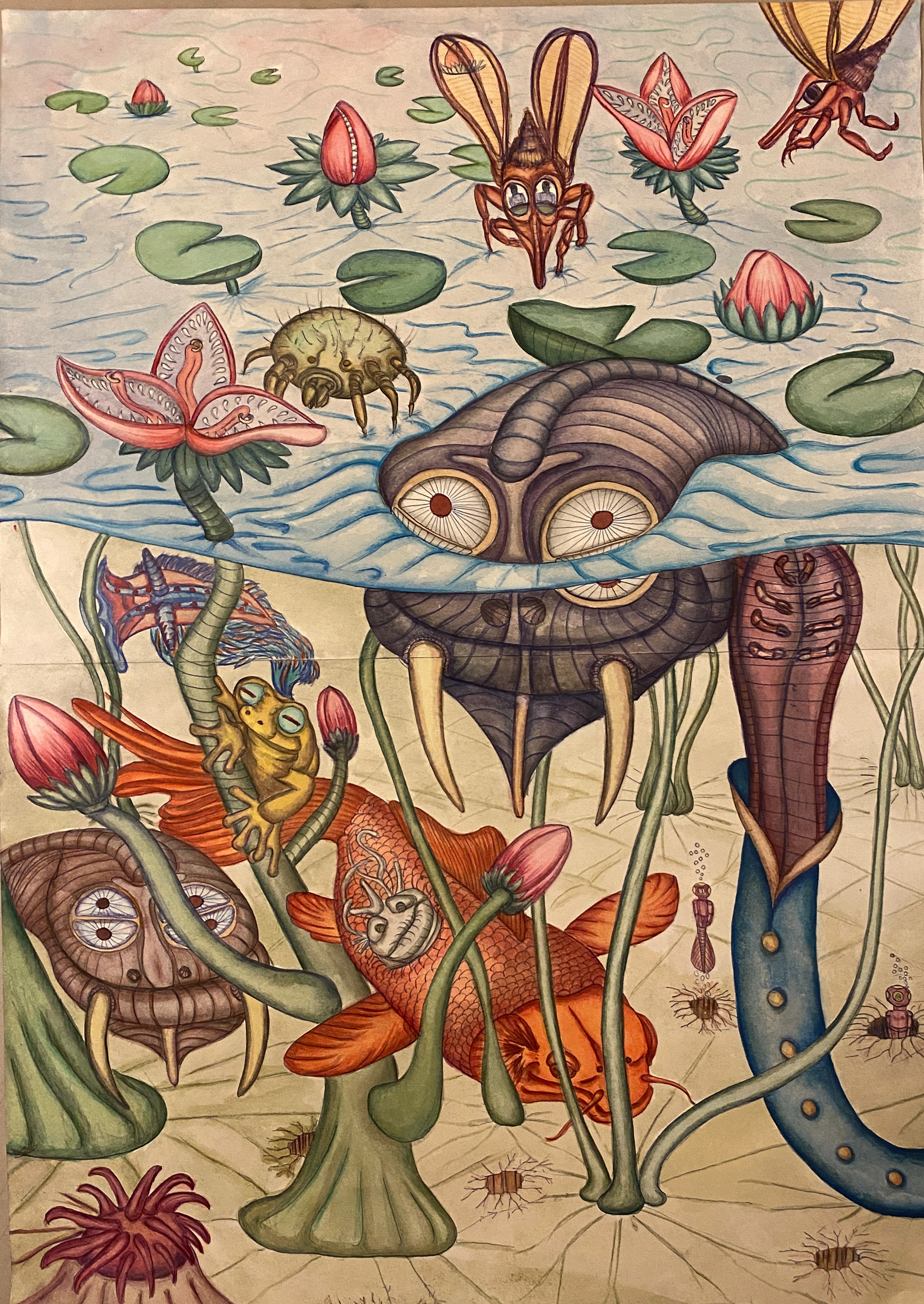"Aquatic life!
