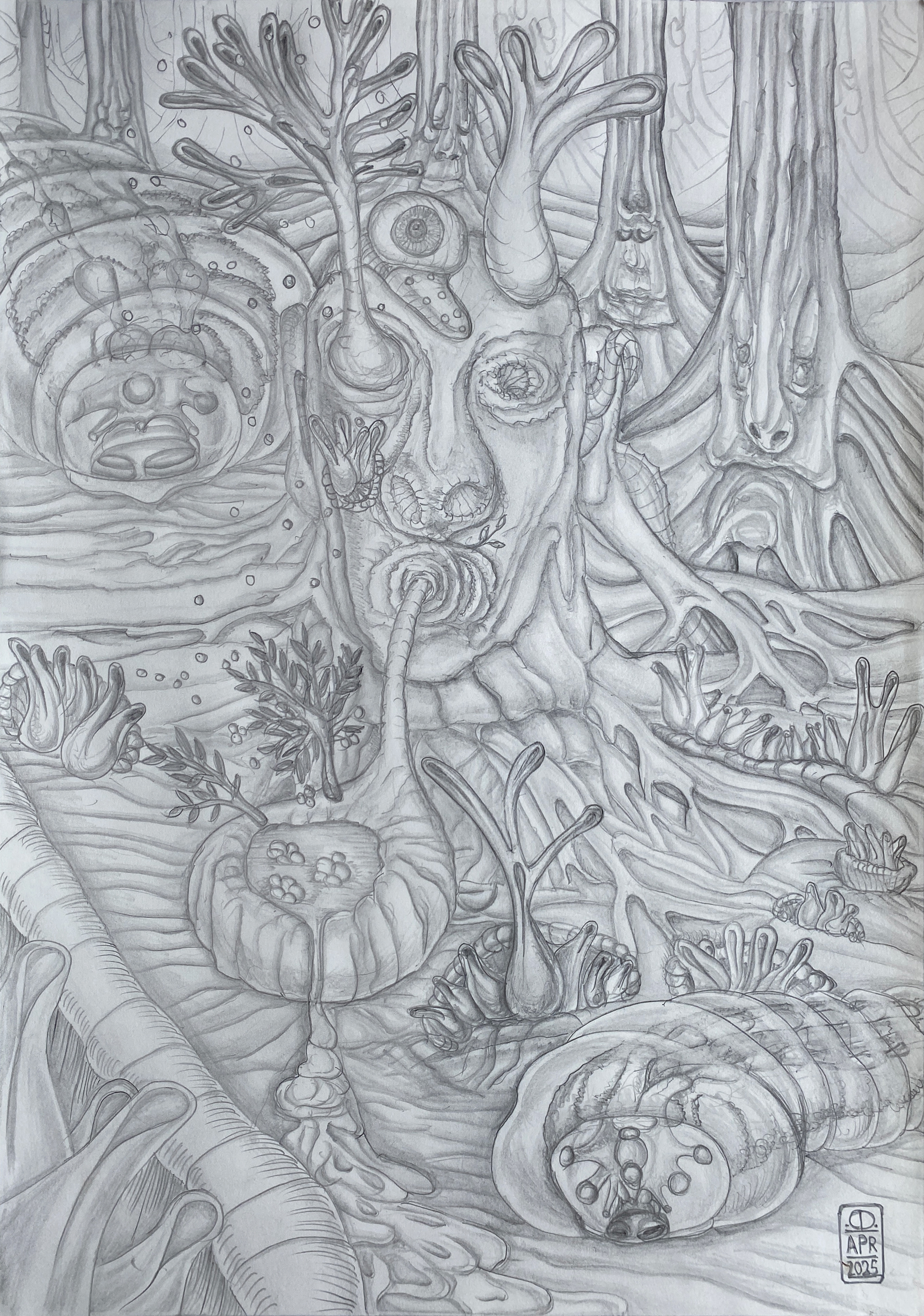 Forrest Scene
