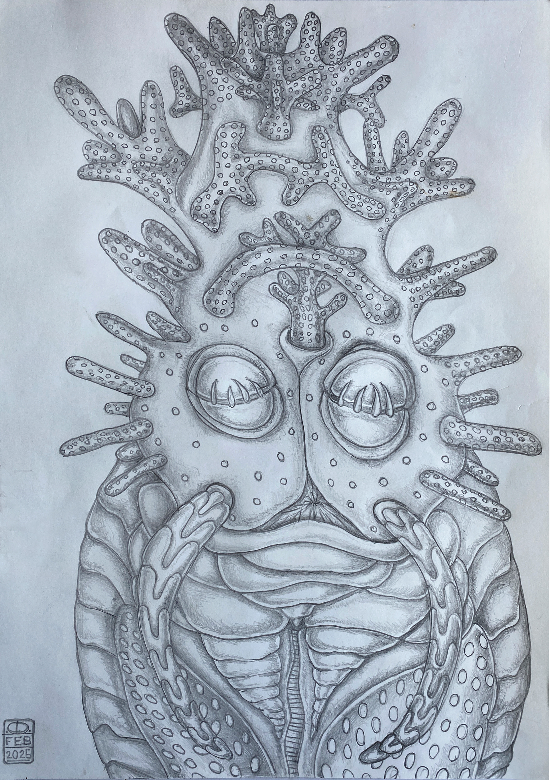  Xenomorph "Coral Crab"