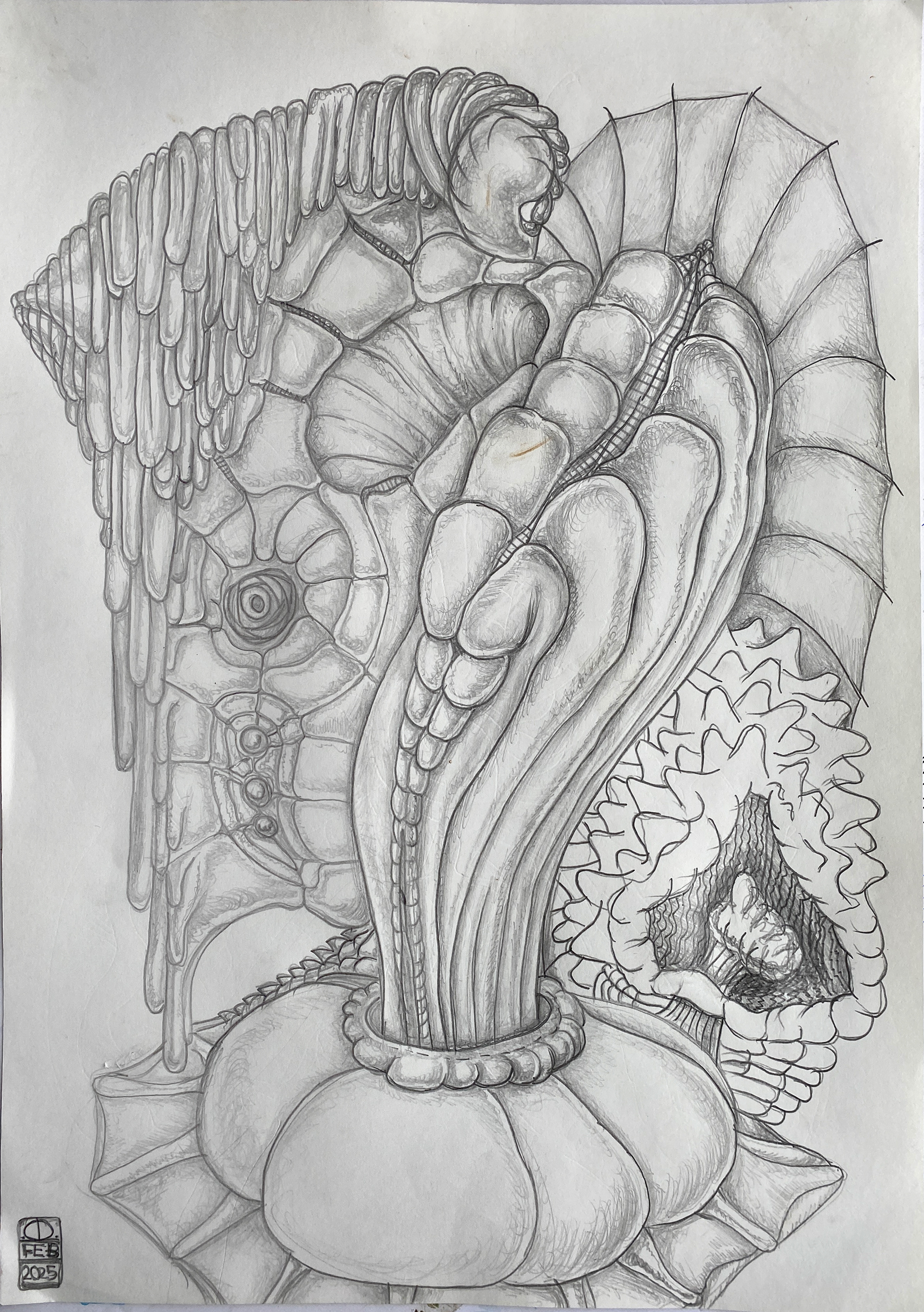 Xenomorph "Odd Turkey"
