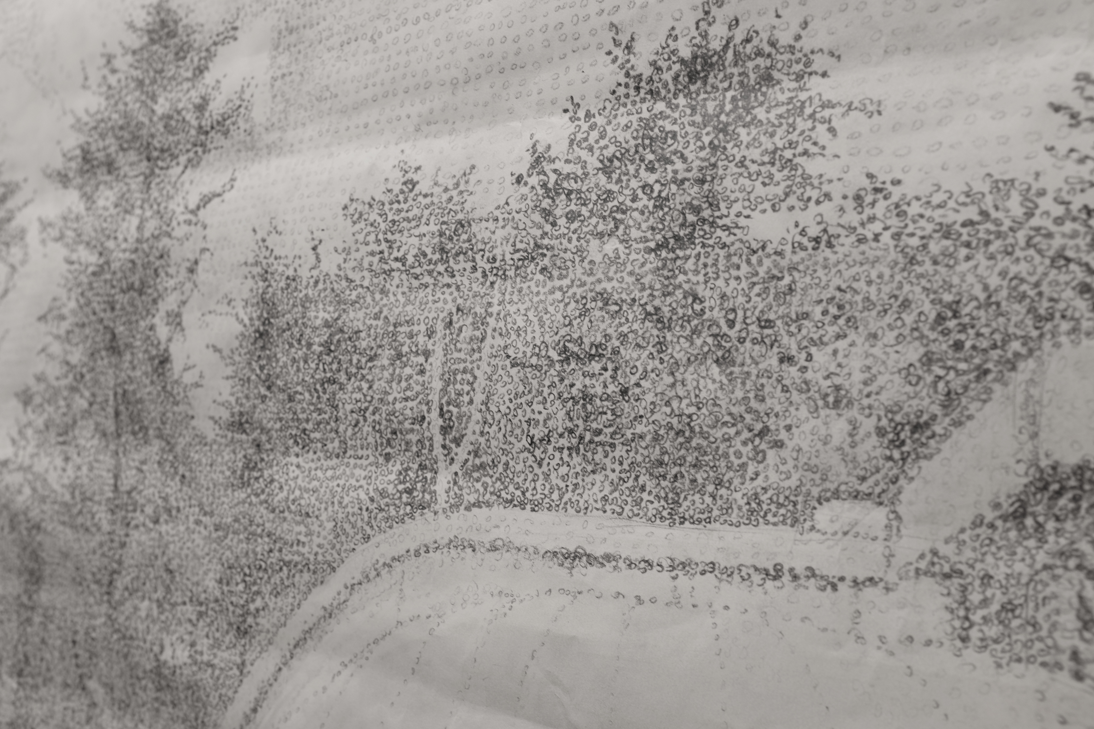 Pointillism close-up.
