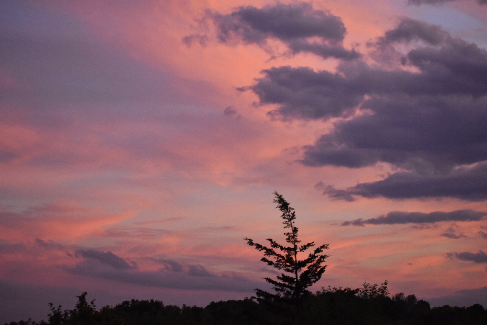 "Evening Walk," 2019, digital photography, 1200x795px.