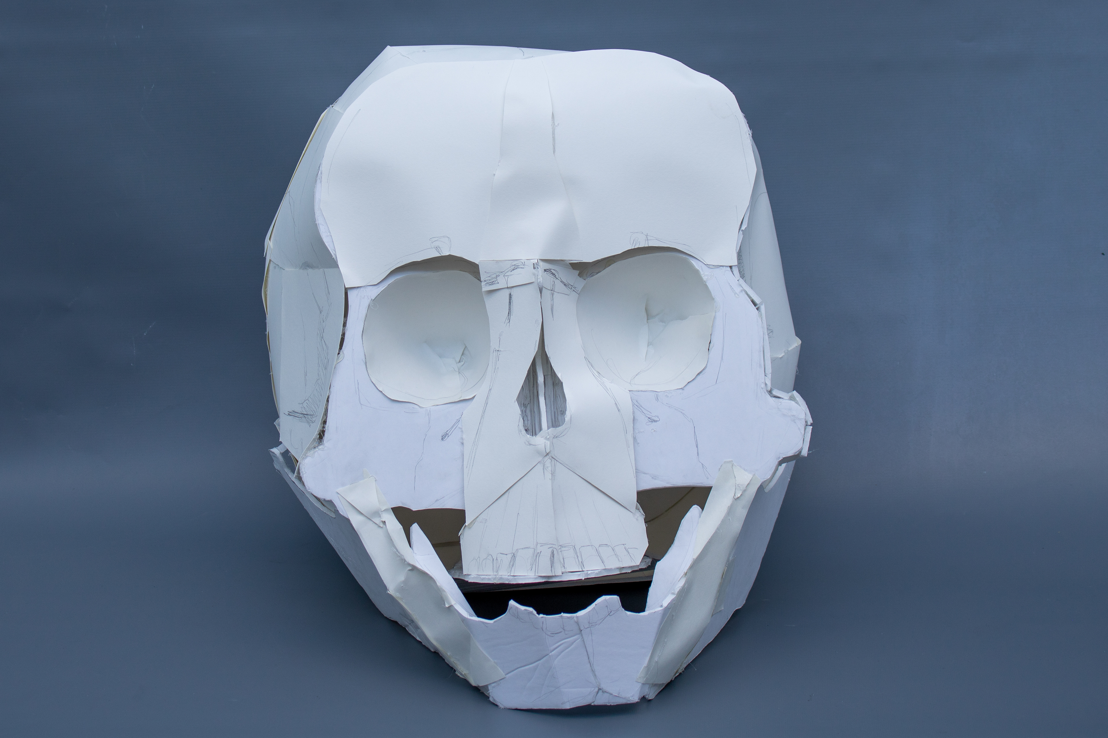Foamboard and paper model skull, 24" longest dimension.