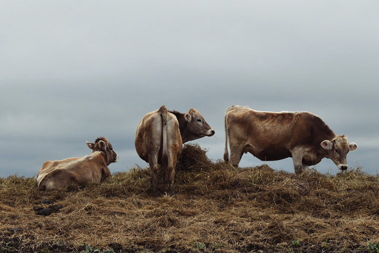 "Turn," 2019, digital photography, 1200x795px.
