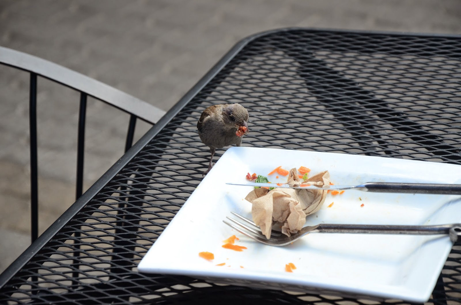 "Thief!," 2014, digital photography, 1200x795px.
