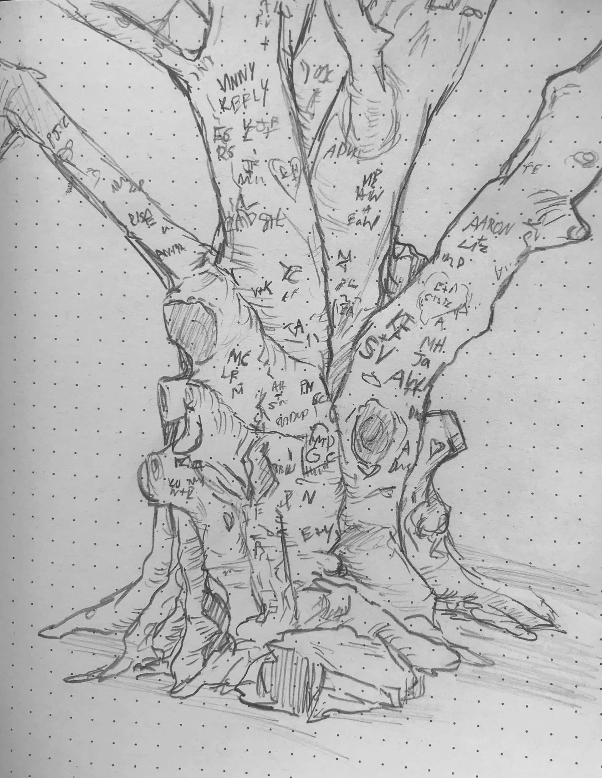 Pencil on paper, observational study.