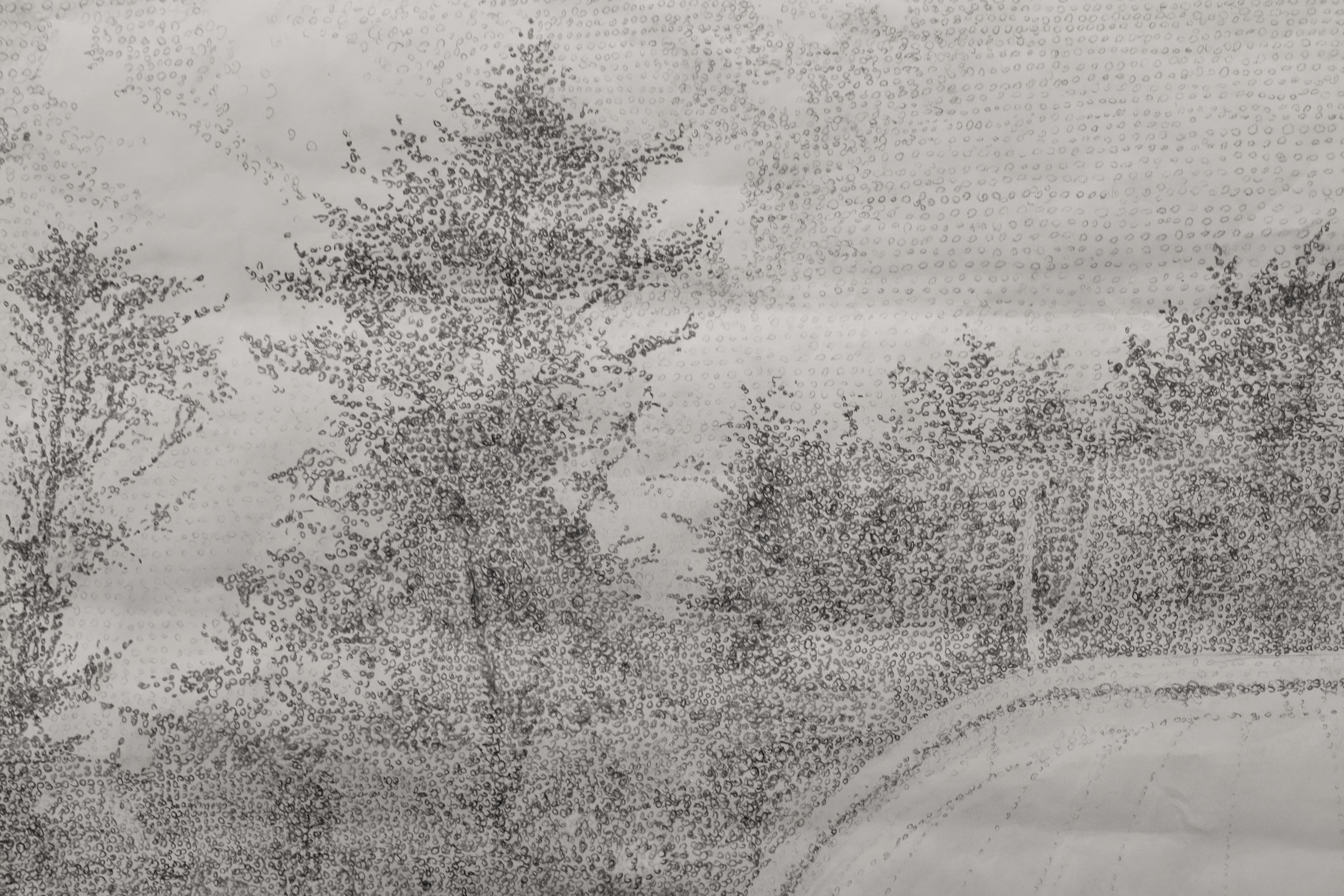Pointillism close-up.