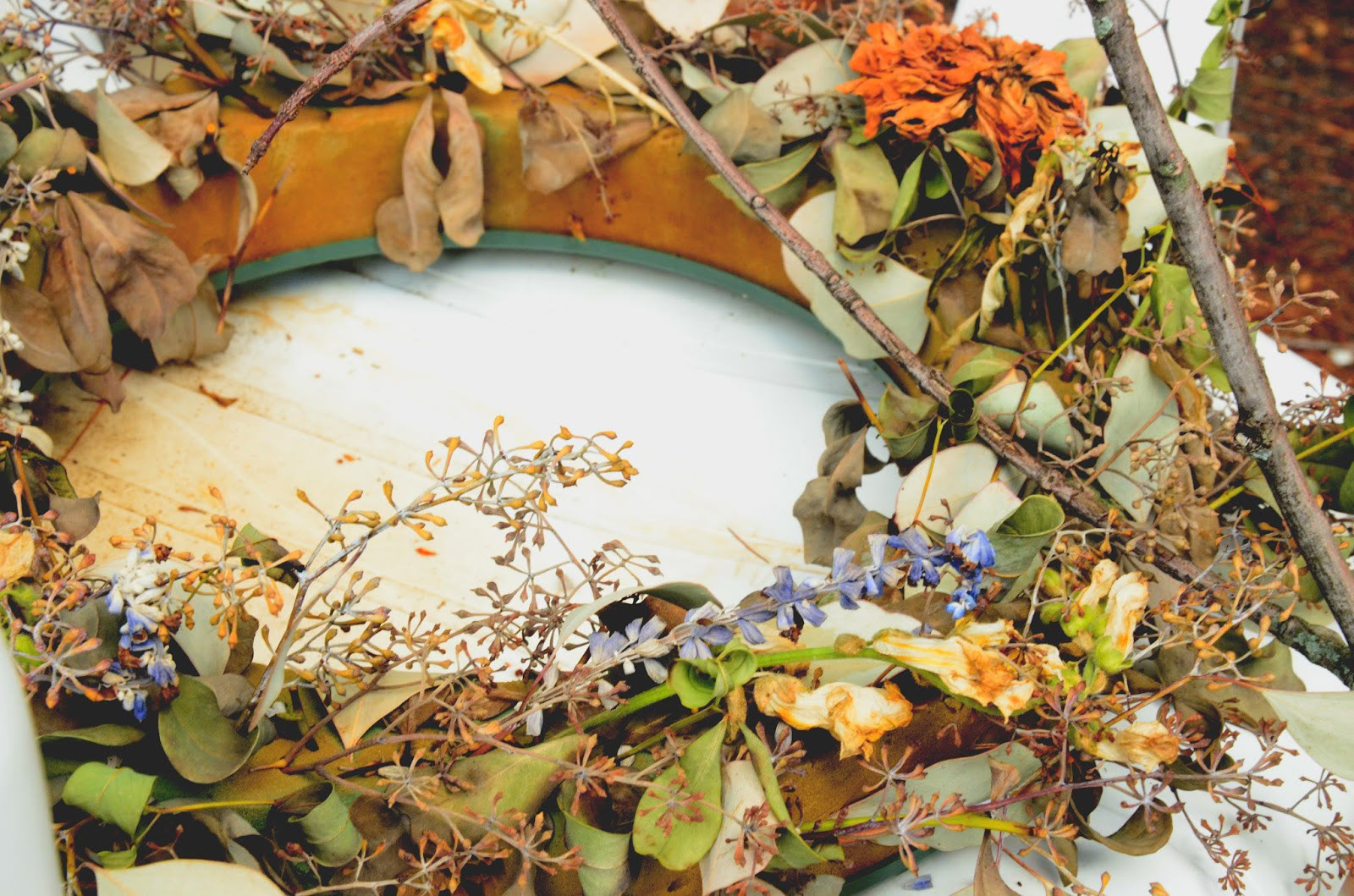 "Wreath," 2016, digital photography, 1200x795px.