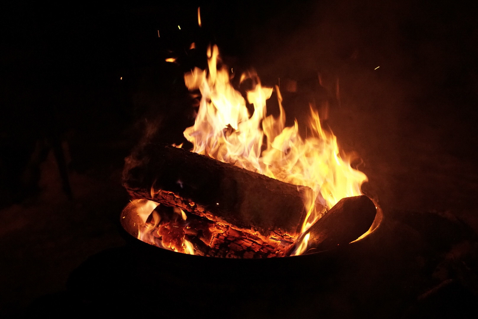 warmth