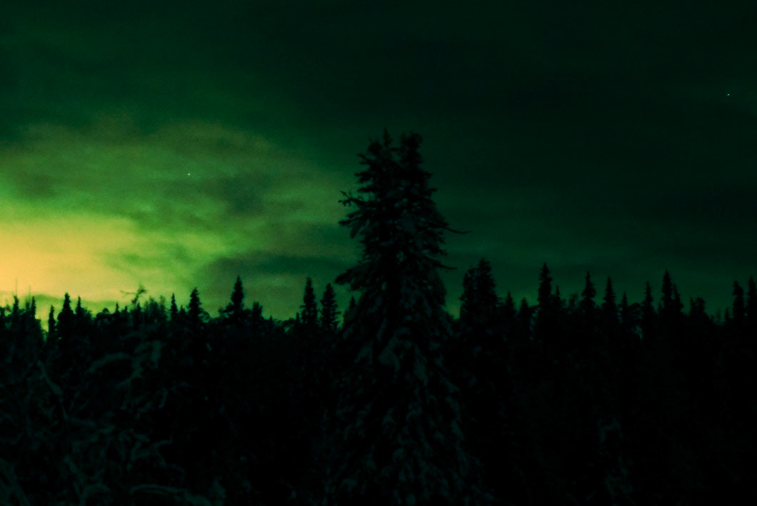 The lights