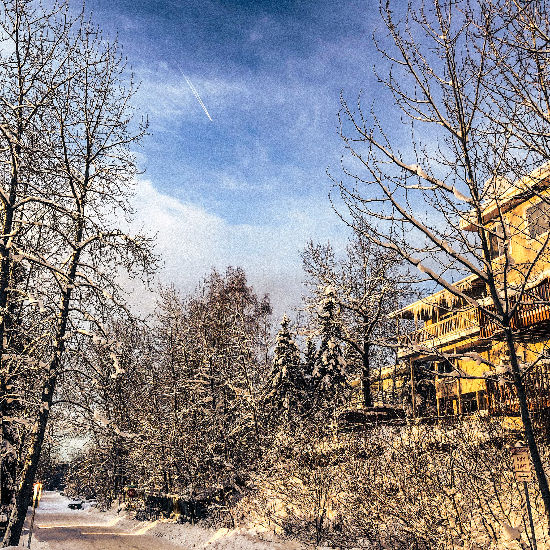 Cold Morning