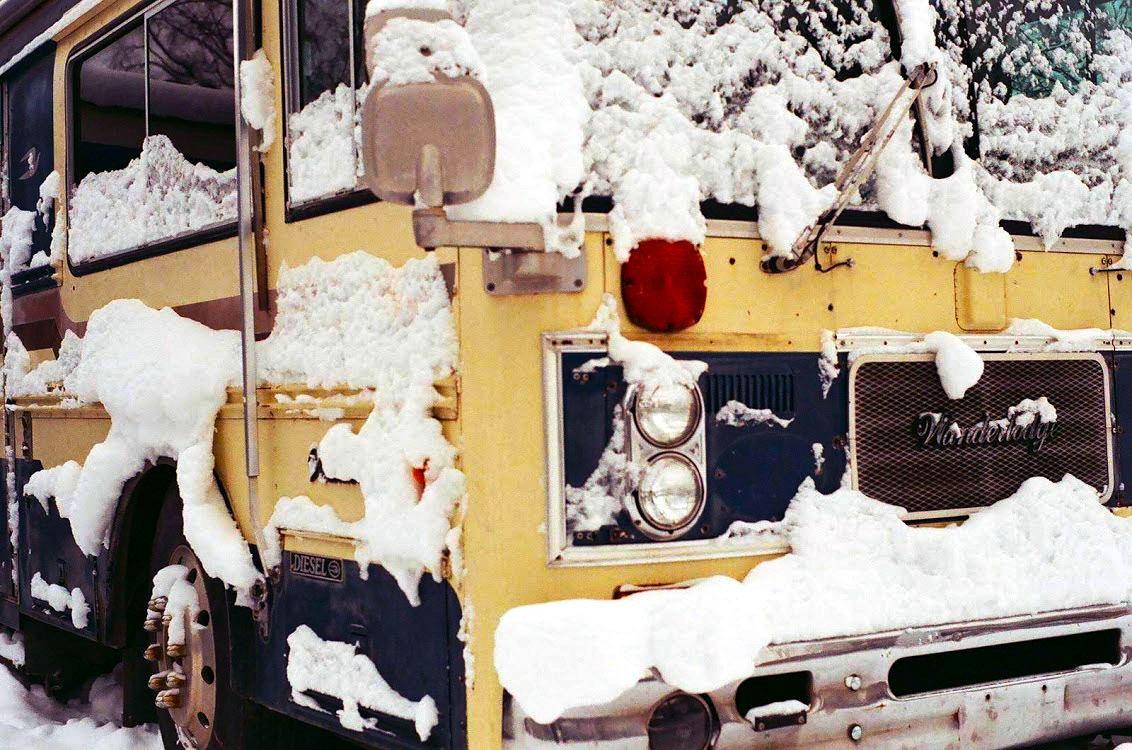 Wonderlodge Closeup
