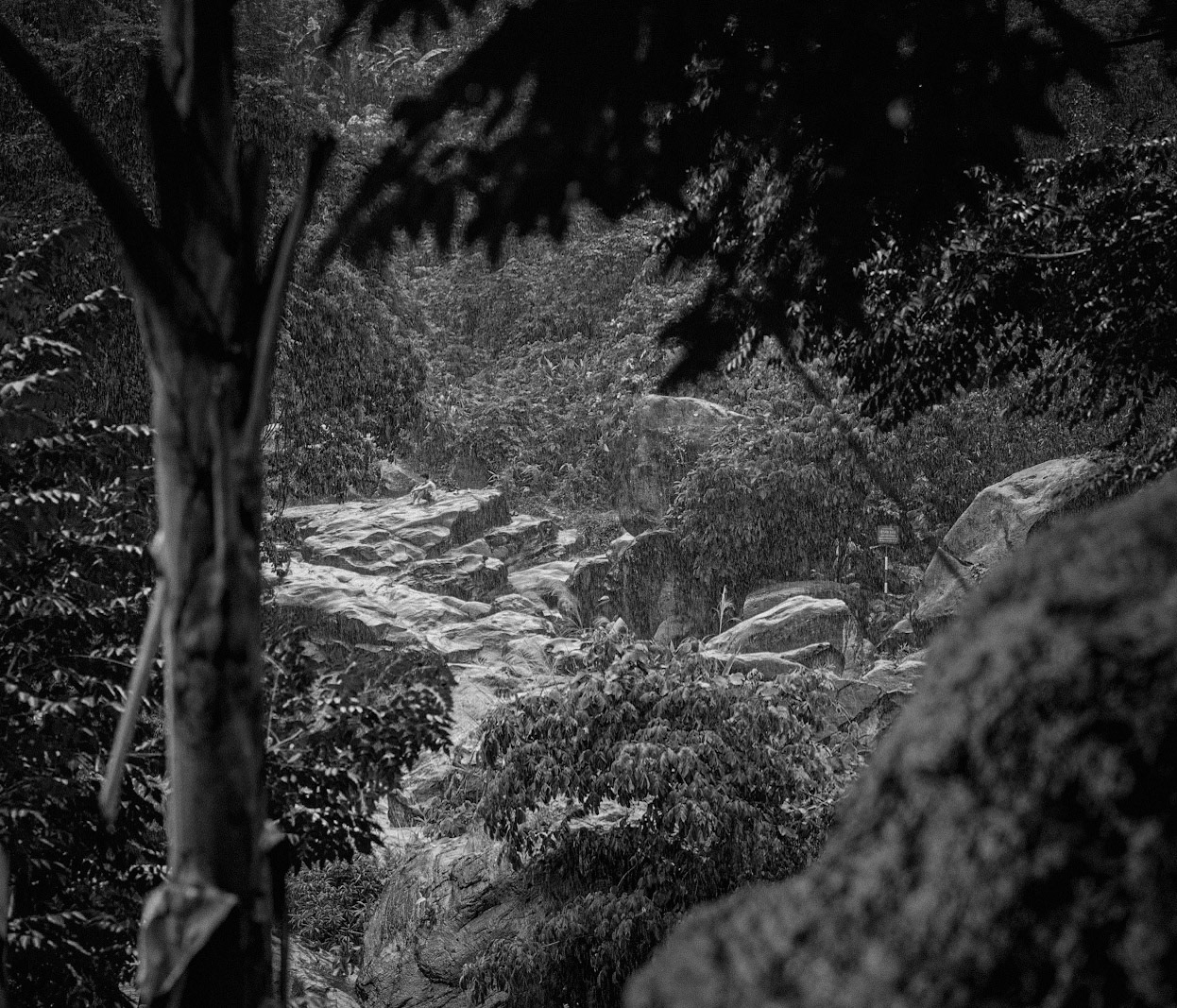 Boy Sitting on Rocks in the Rain, Đà Nẵng Highlands, May 2025