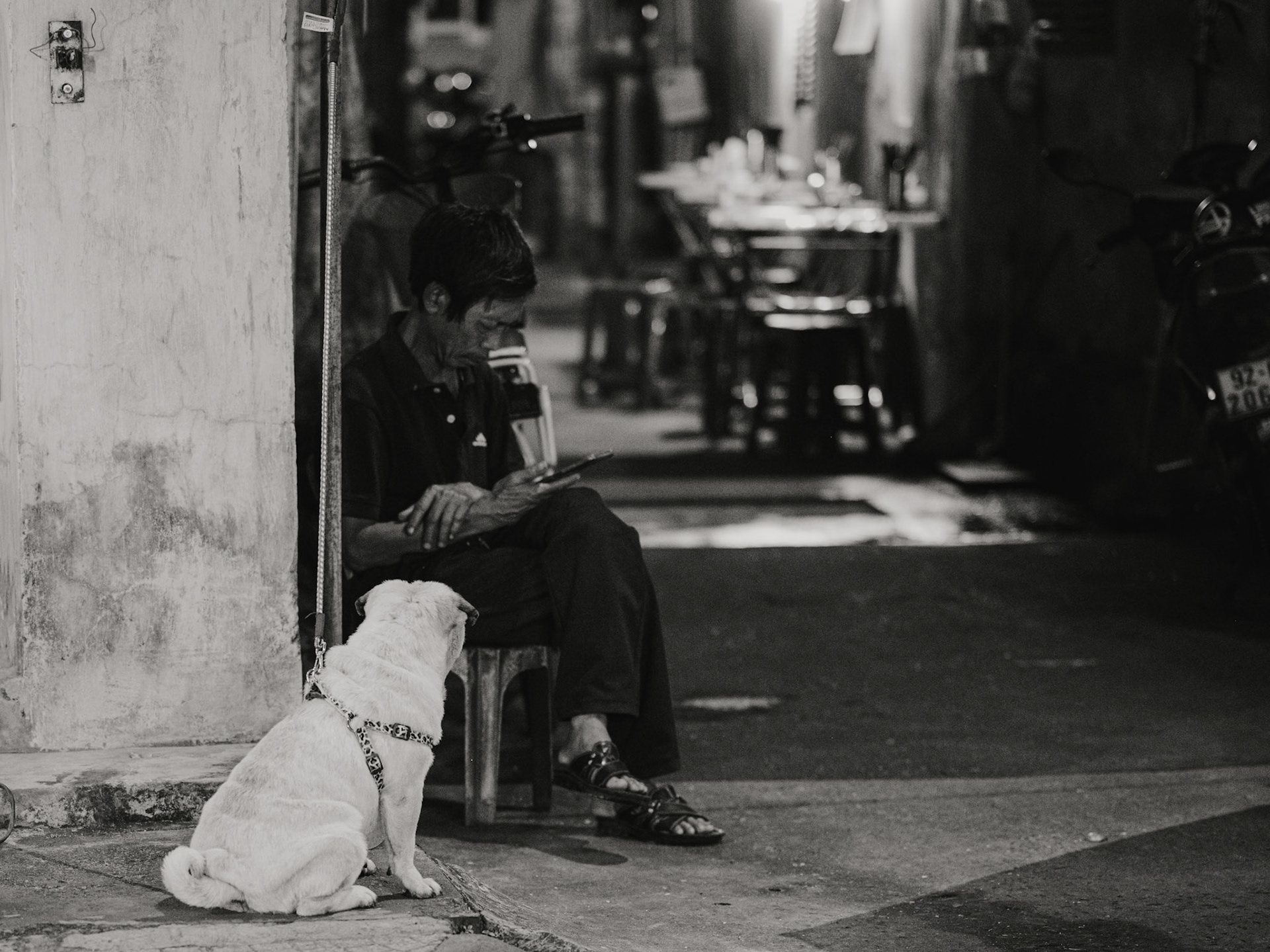 Part of the VN25 black-and-white series. All rights reserved.