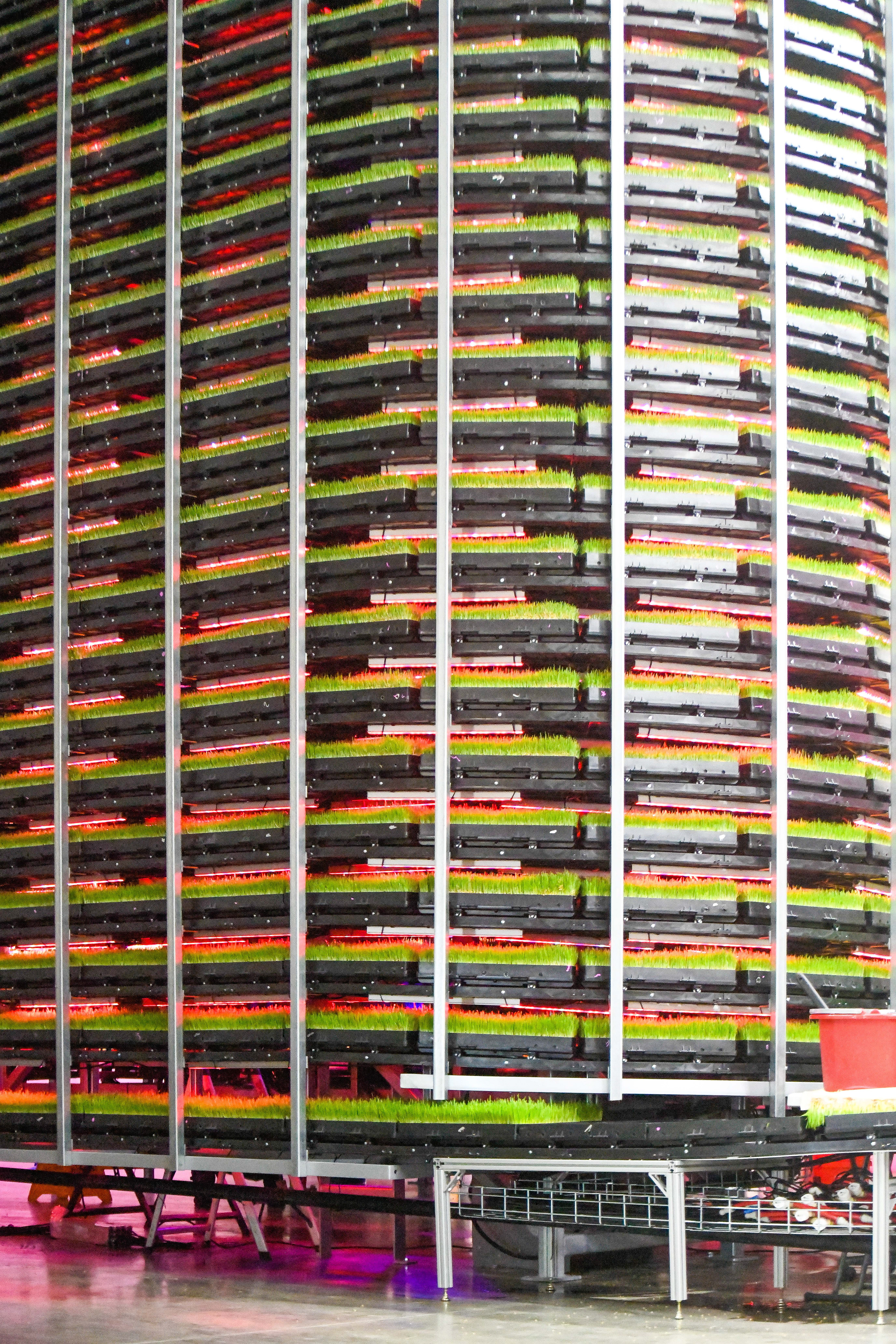 harvest side