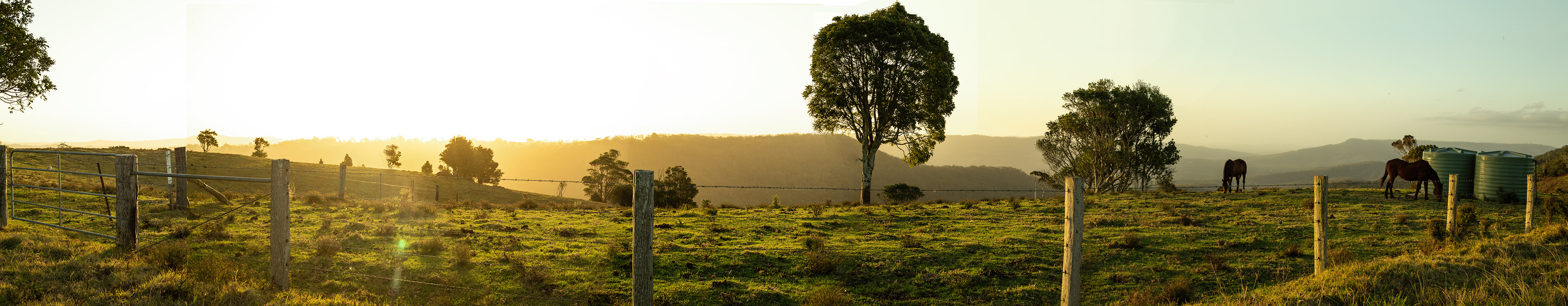 Tablelands
