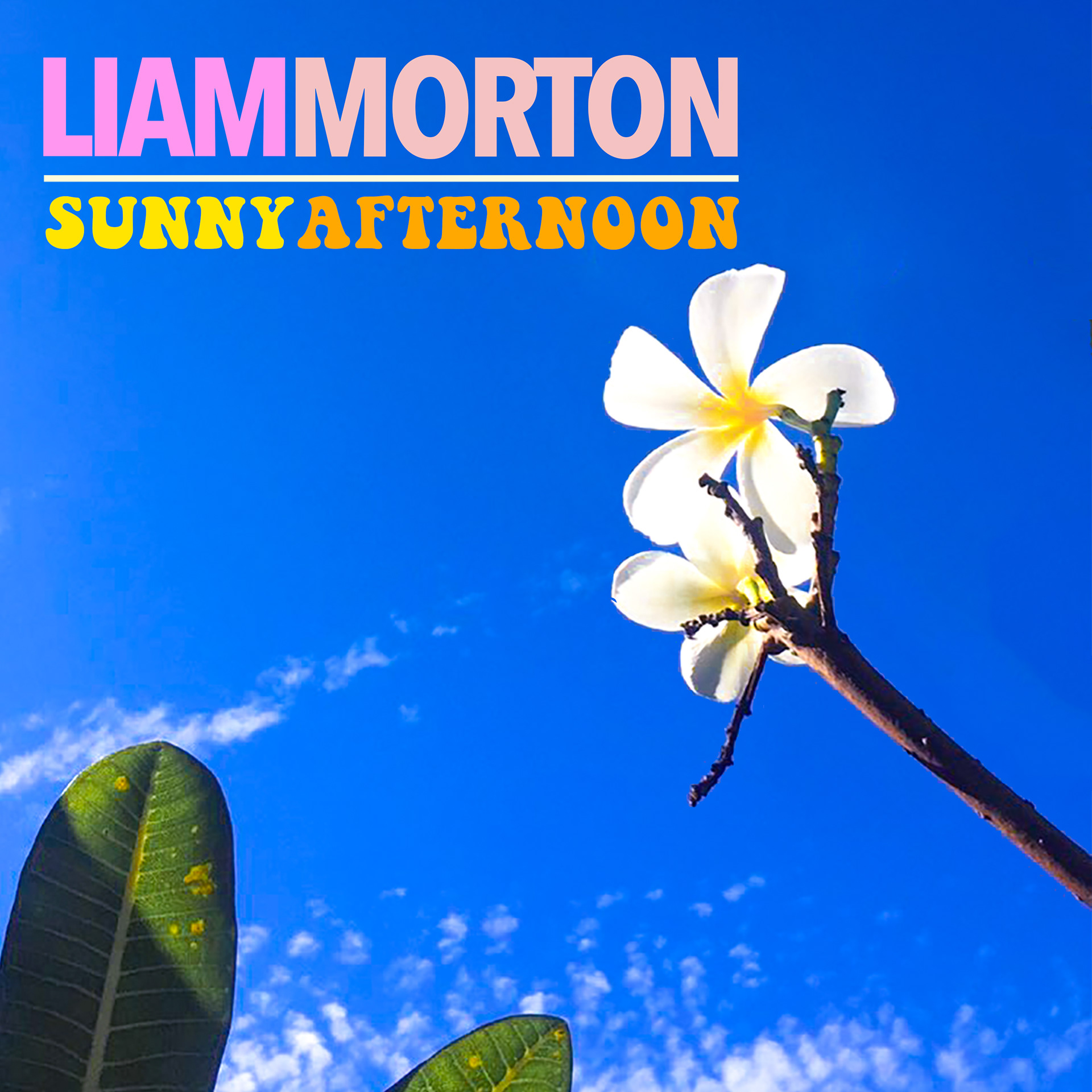 GRAPHICS FOR LIAM MORTON SINGLE RELEASE