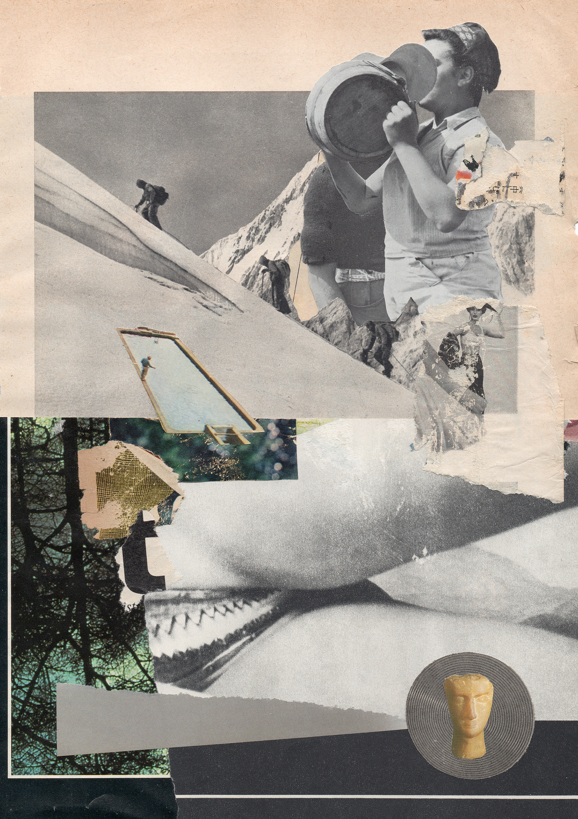 forest and wind / 2018