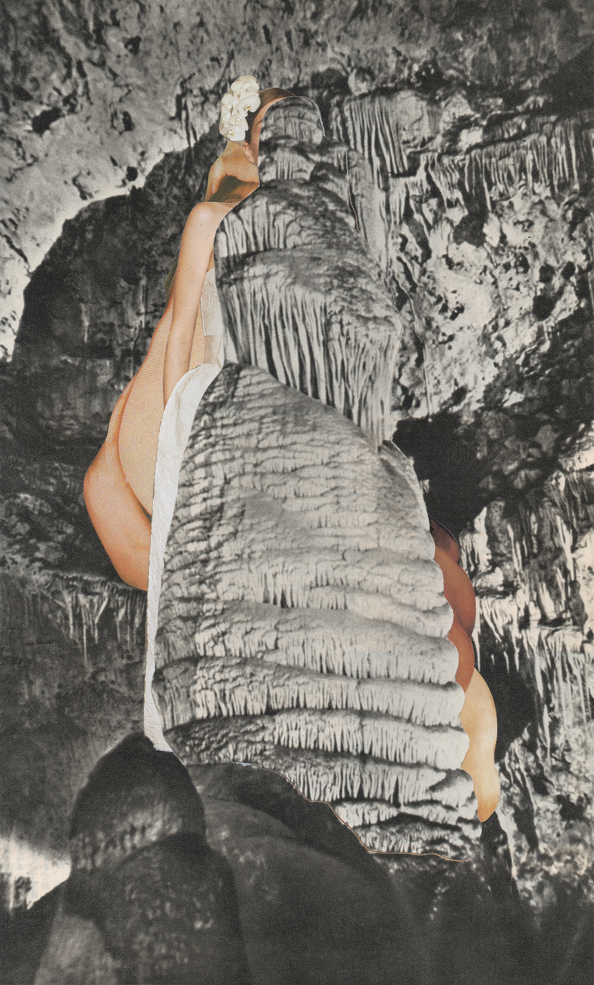 生きる繊維 / 2018