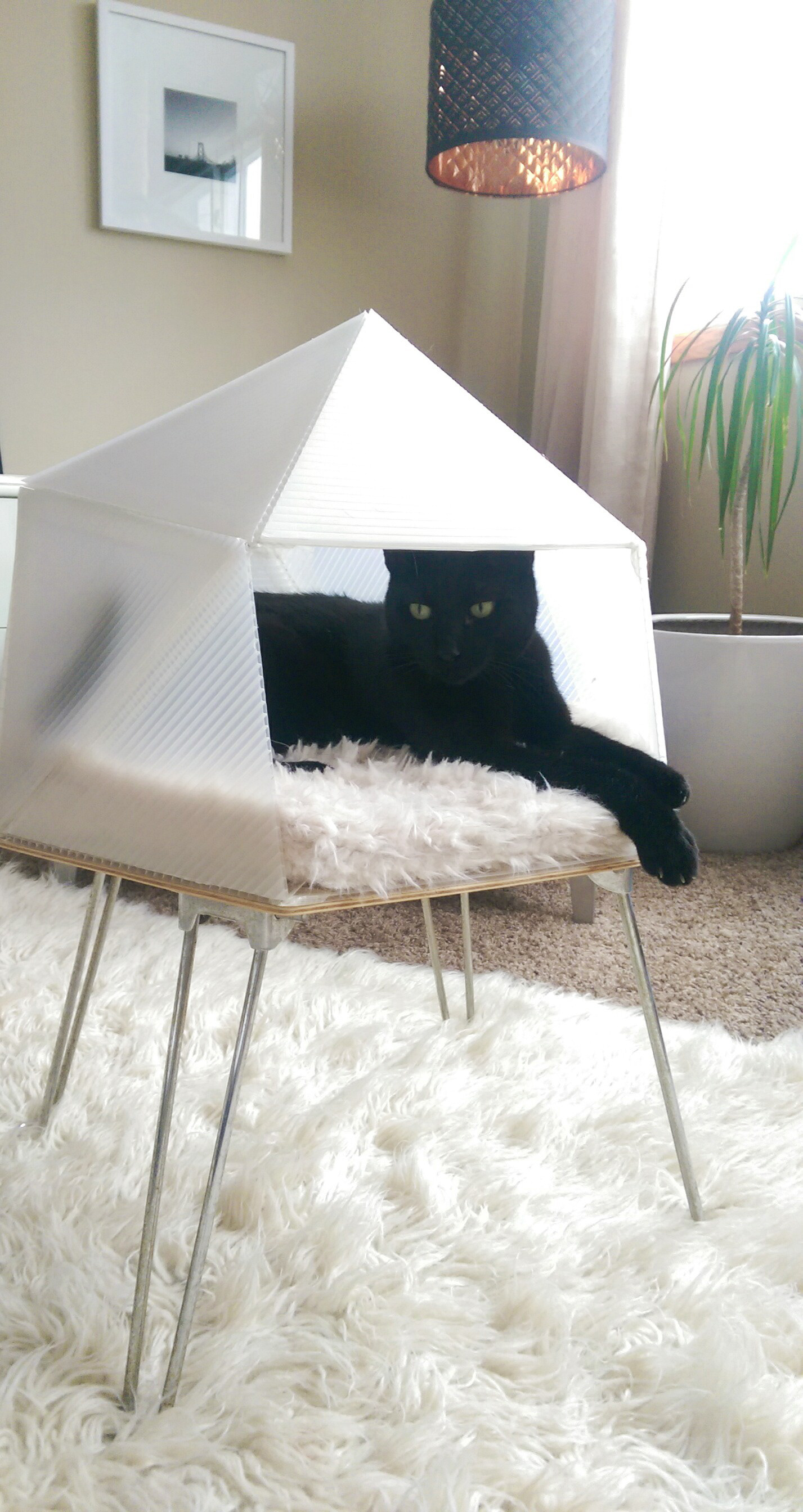 Product design