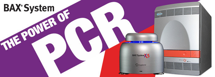 web banner