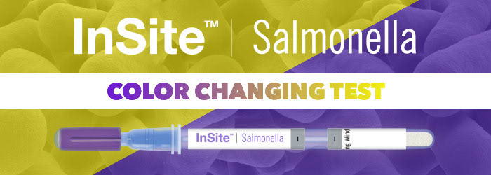 web banner