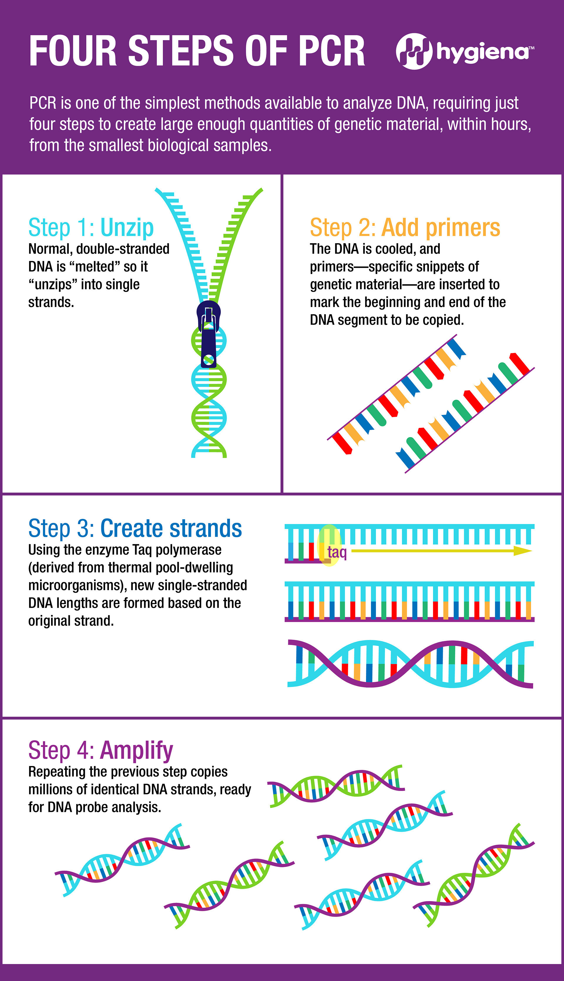 Infographic