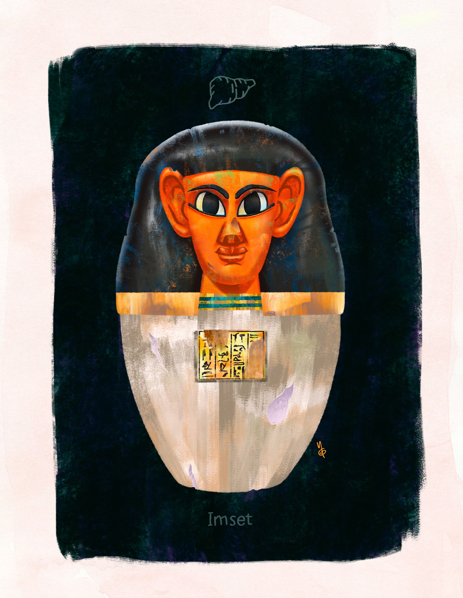 Vaso canopo: Imset