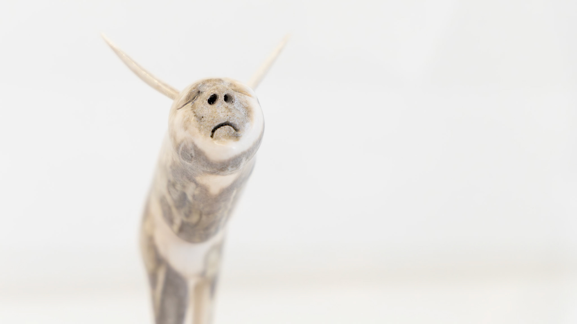 | Art inuit | Musée des Beaux-Arts du Québec | 14 mai 2026 |