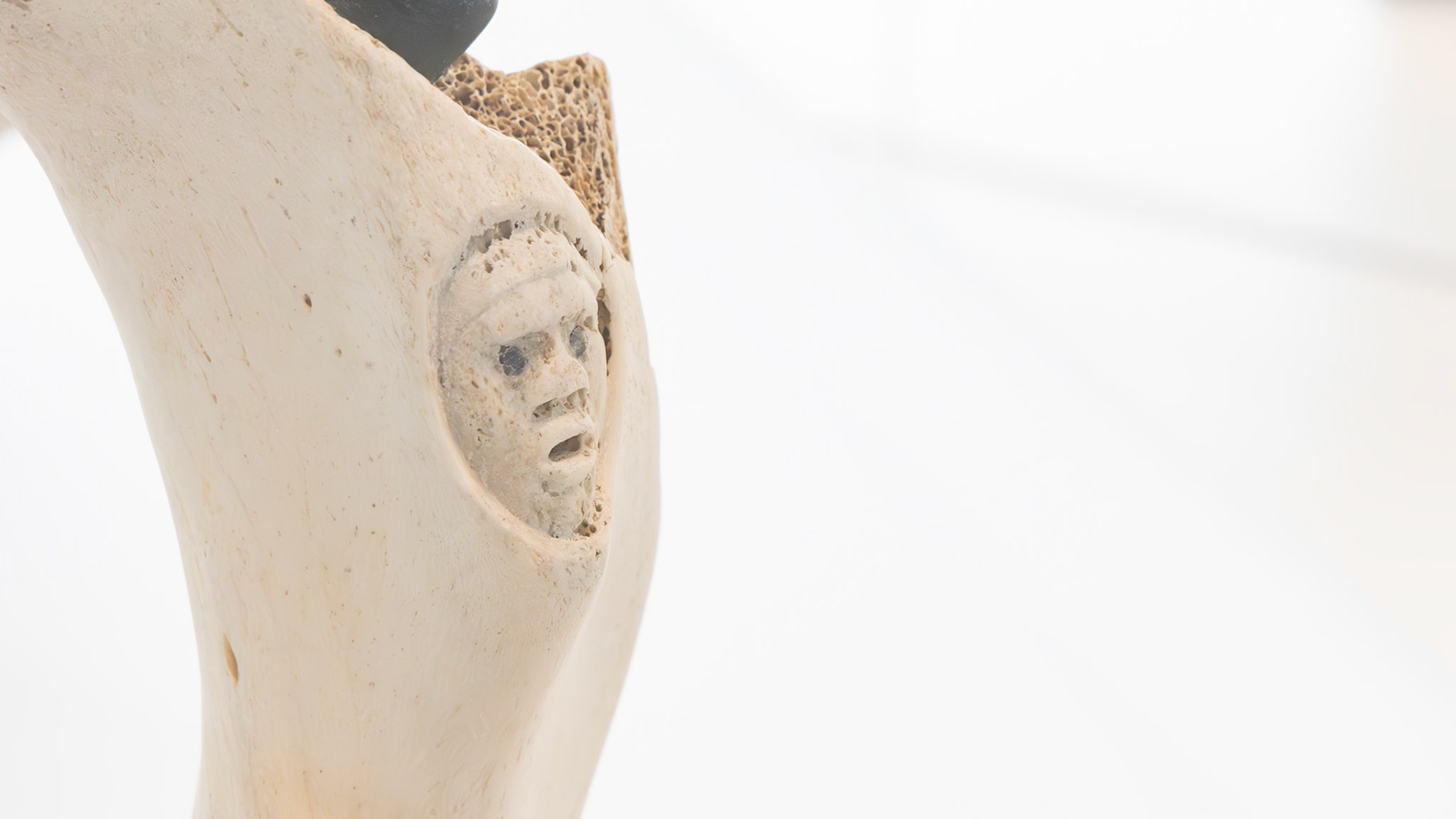 | Art inuit | Musée des Beaux-Arts du Québec | 14 mai 2026 |
