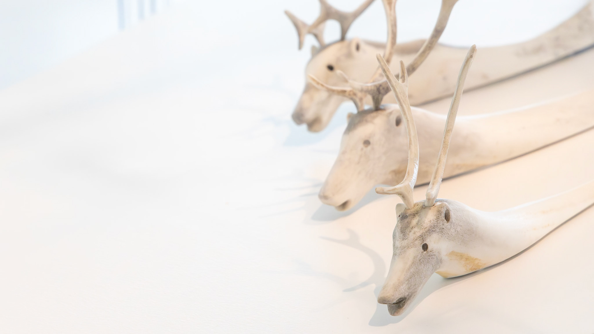 | Art inuit | Musée des Beaux-Arts du Québec | 14 mai 2026 |