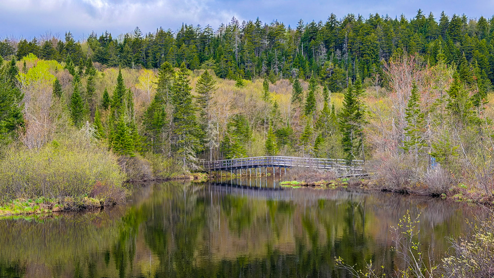 | Marais du Nord, Québec | 21 mai 2026 |