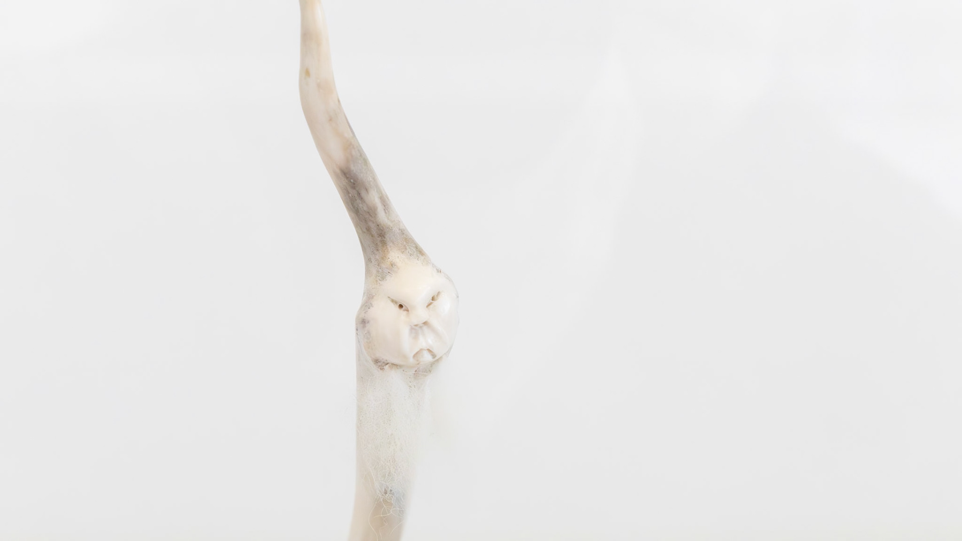 | Art inuit | Musée des Beaux-Arts du Québec | 14 mai 2026 |