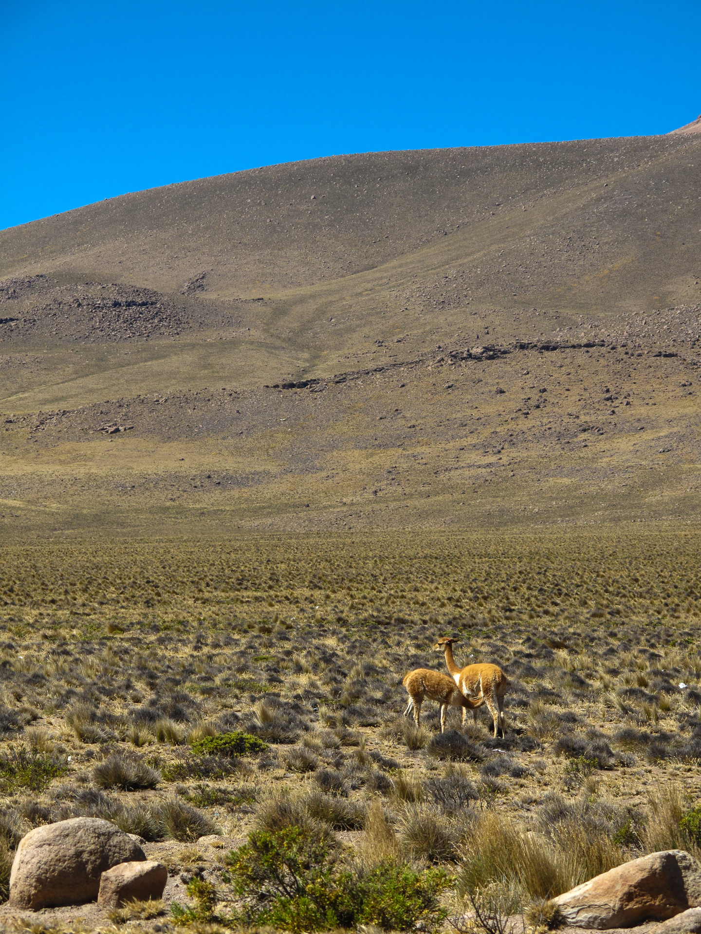 Alto do Chivai - Peru